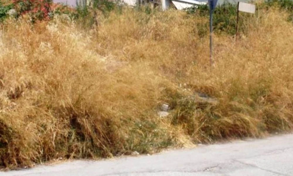 Χάος με τα ακαθάριστα οικόπεδα: Πρόστιμα σε όλους τους συνιδιοκτήτες ακόμη κι αν ένας δεν έχει καθαρίσει το δικό του τμήμα